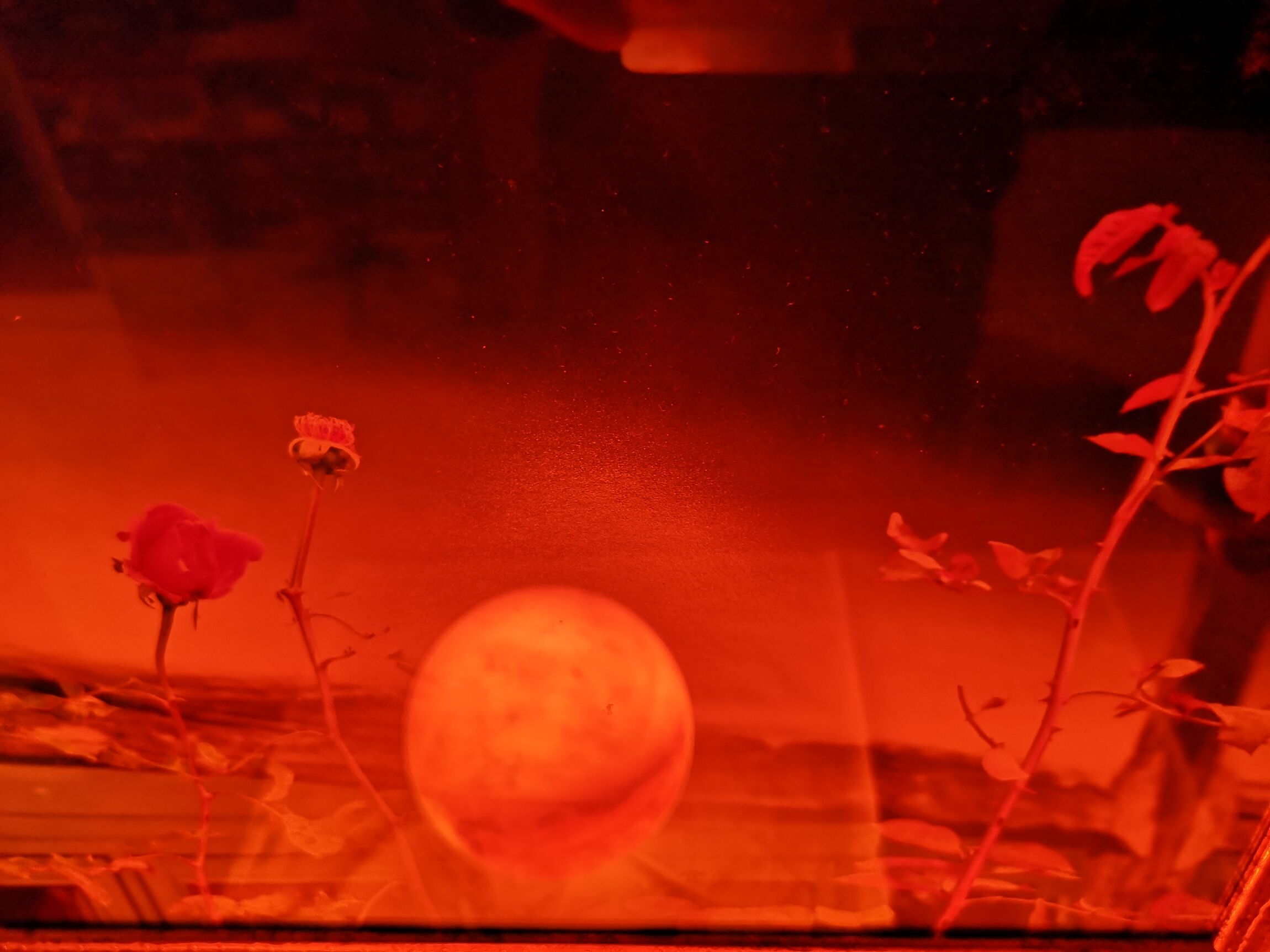 Foto-Ausstellung  Michael Korinth