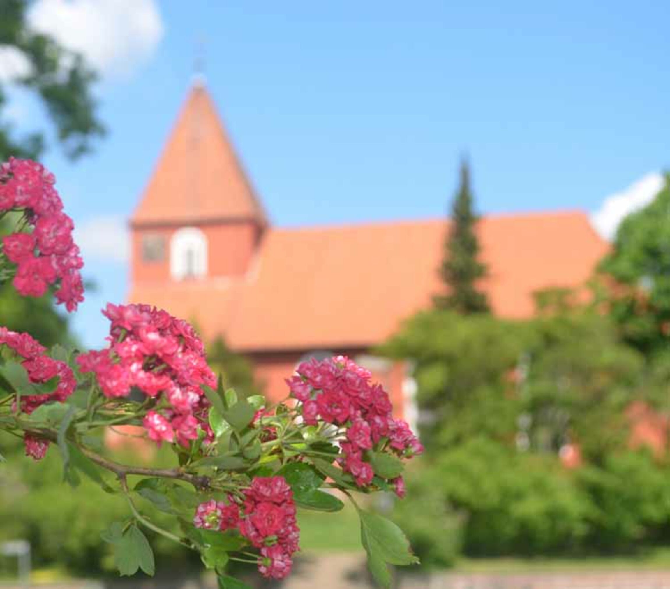 Teaser_KV_Kirche_mit_Blumen