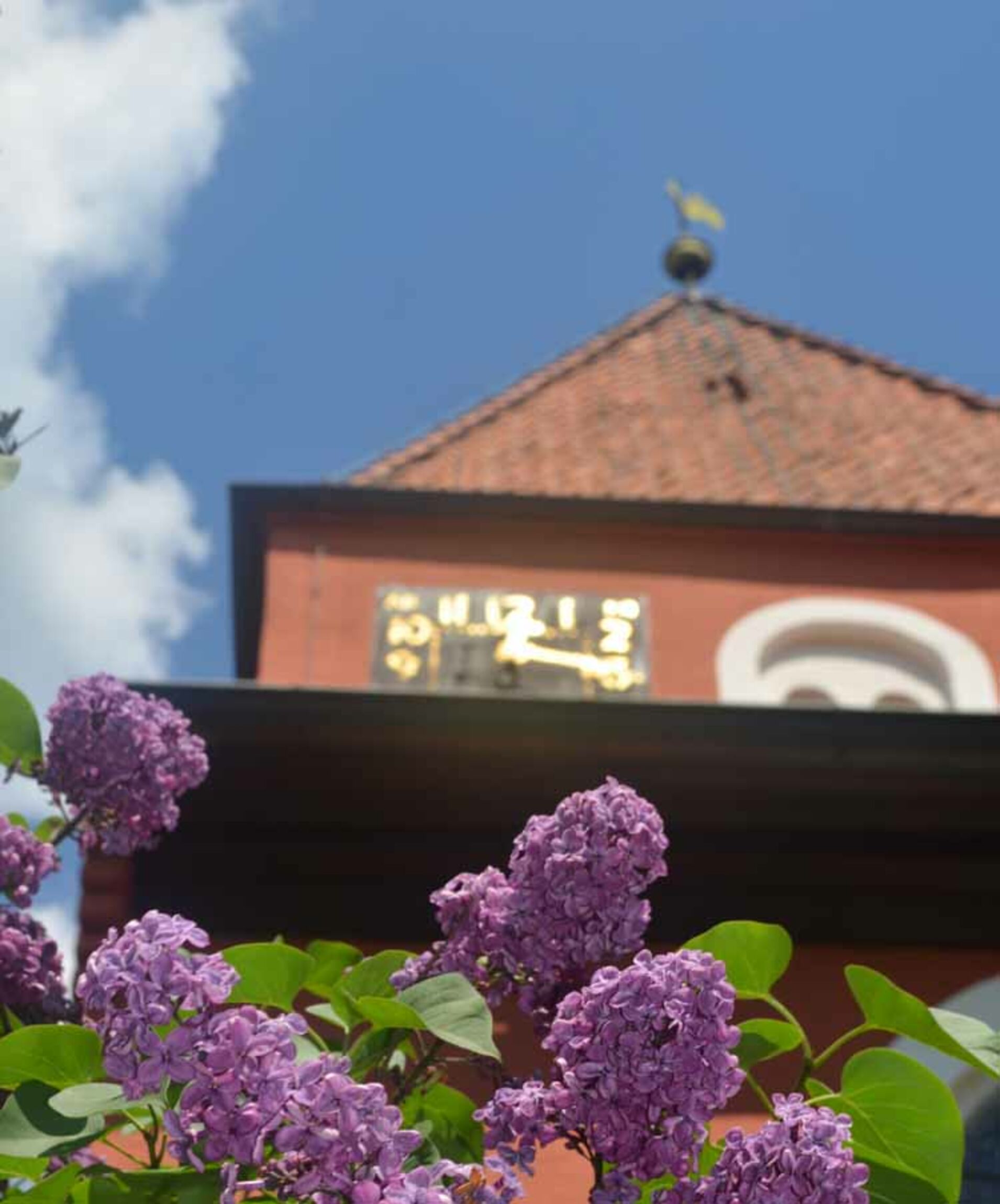 Teaser_Stiftung_Kirchturm_Blumen