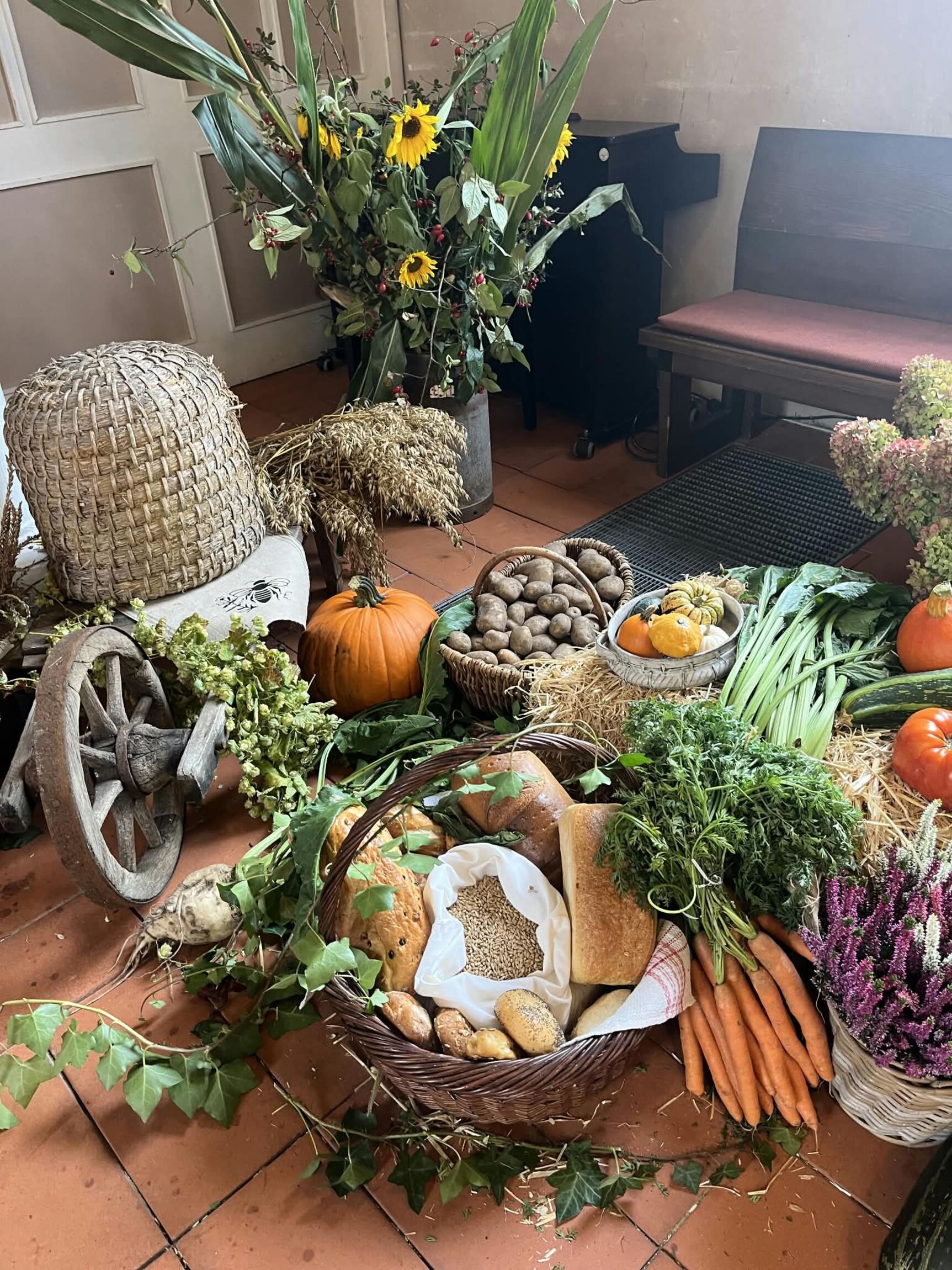Erntedank in Kiwi