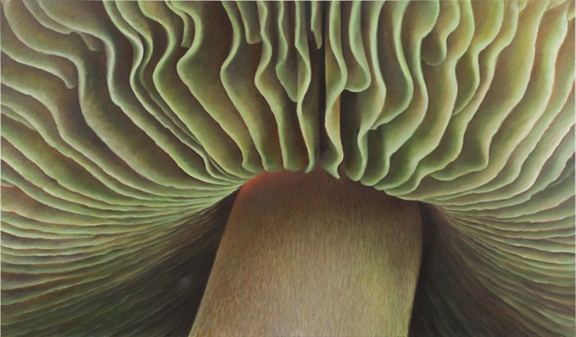 Hüllreste - Ausstellung Martina Schulze