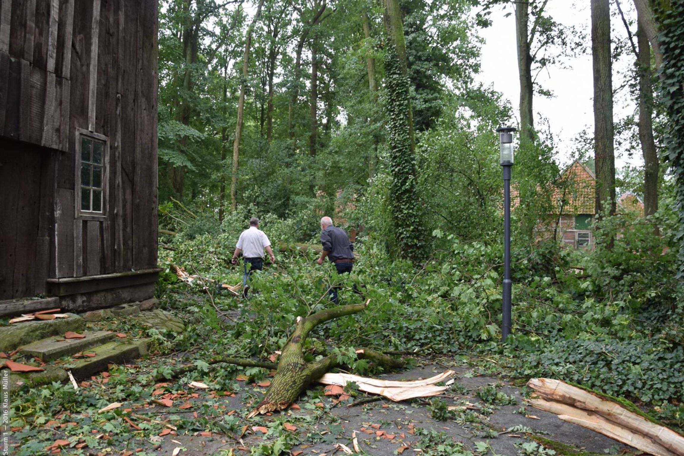 16KGM_Sturm_20160829-003