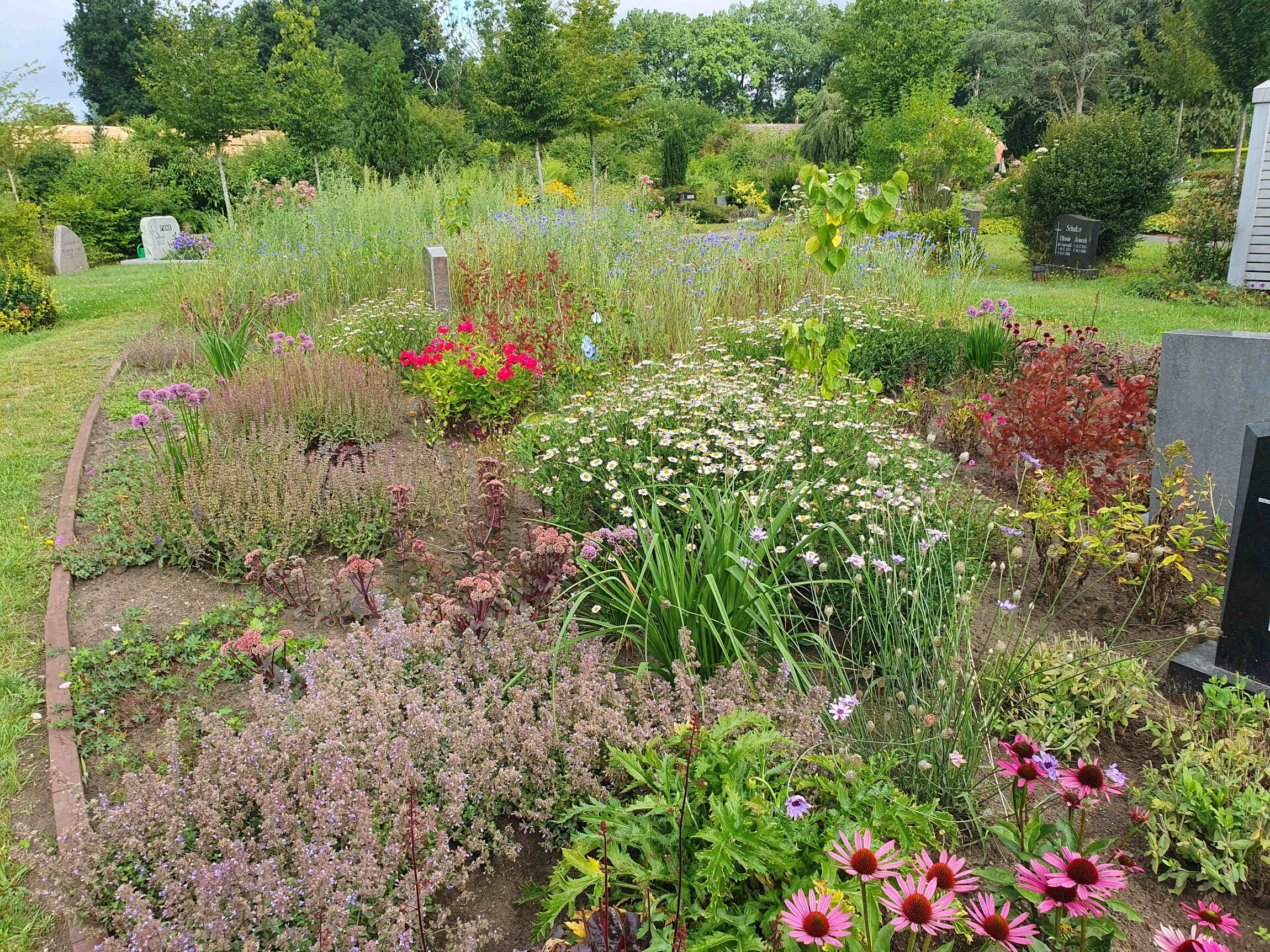 Garten der Stille 06-2025