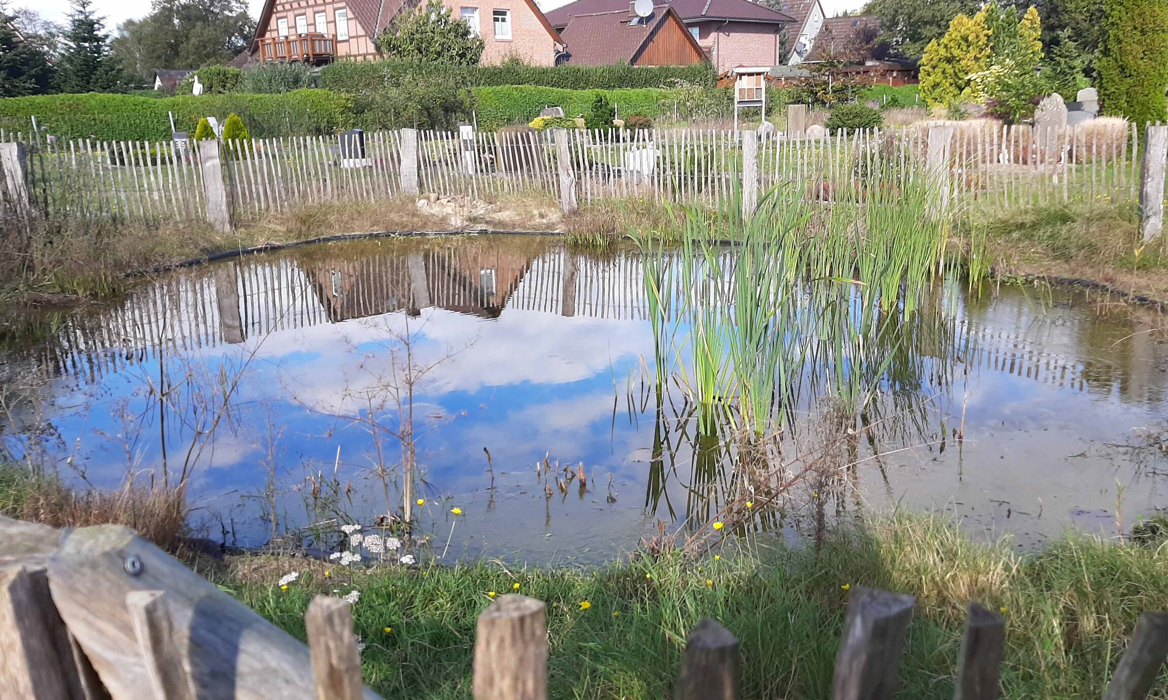 teich friedhof