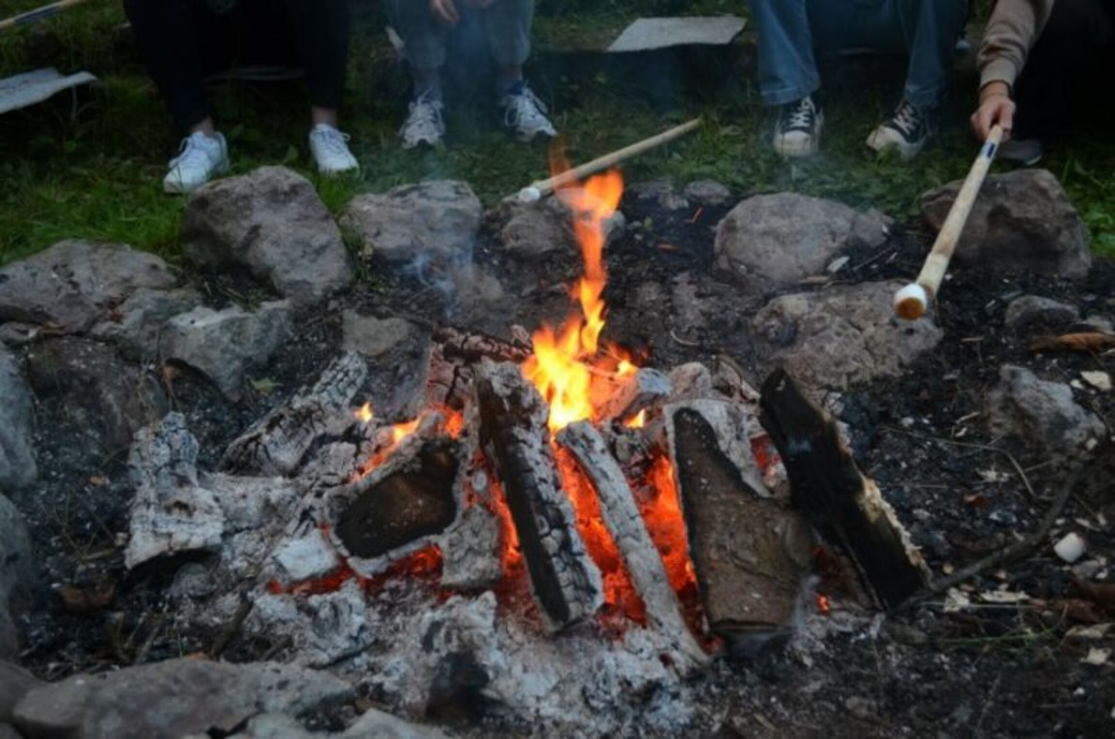 Bild: Constanze Ulbrich