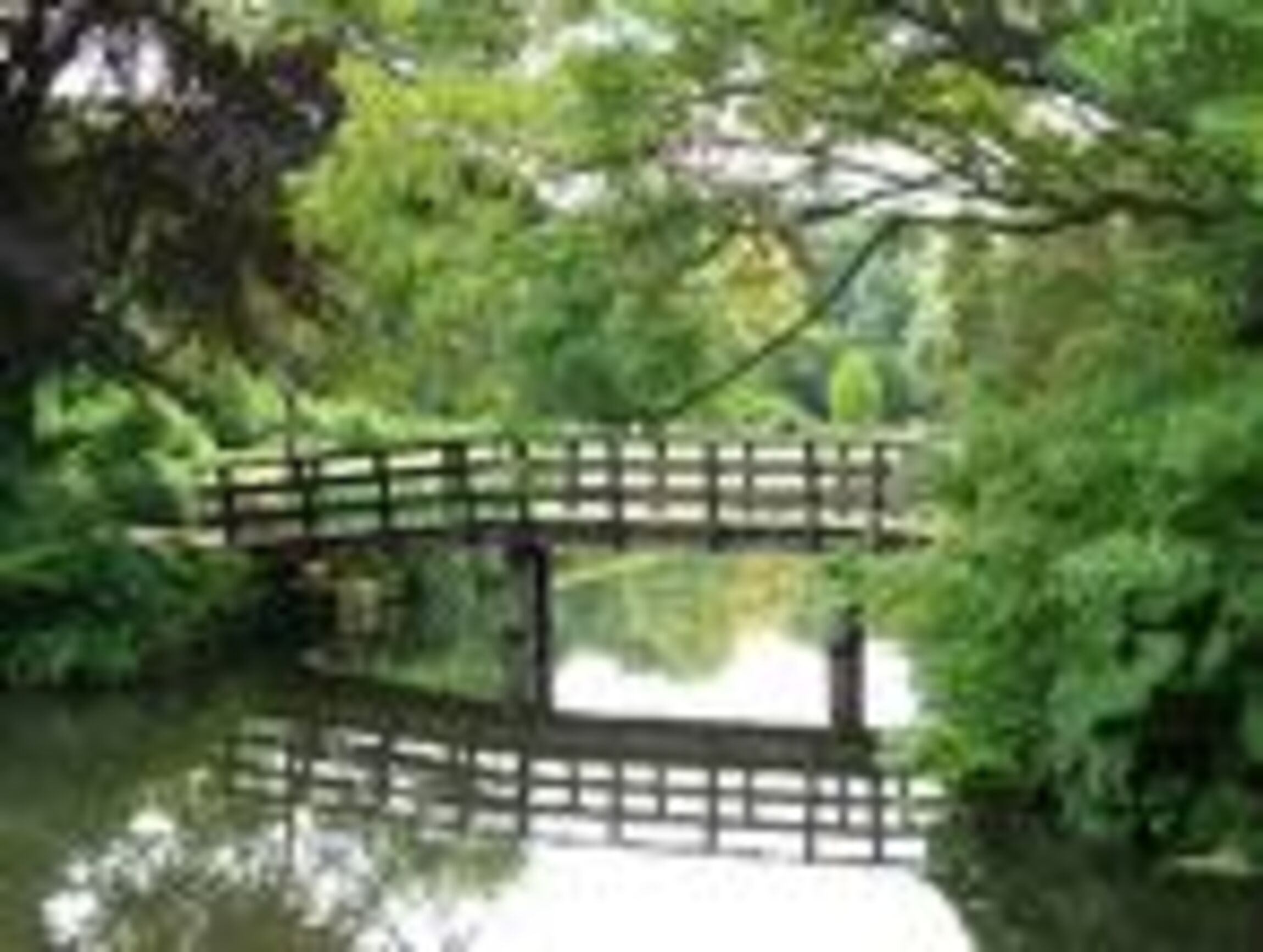 Bruecke_psychoonkologie