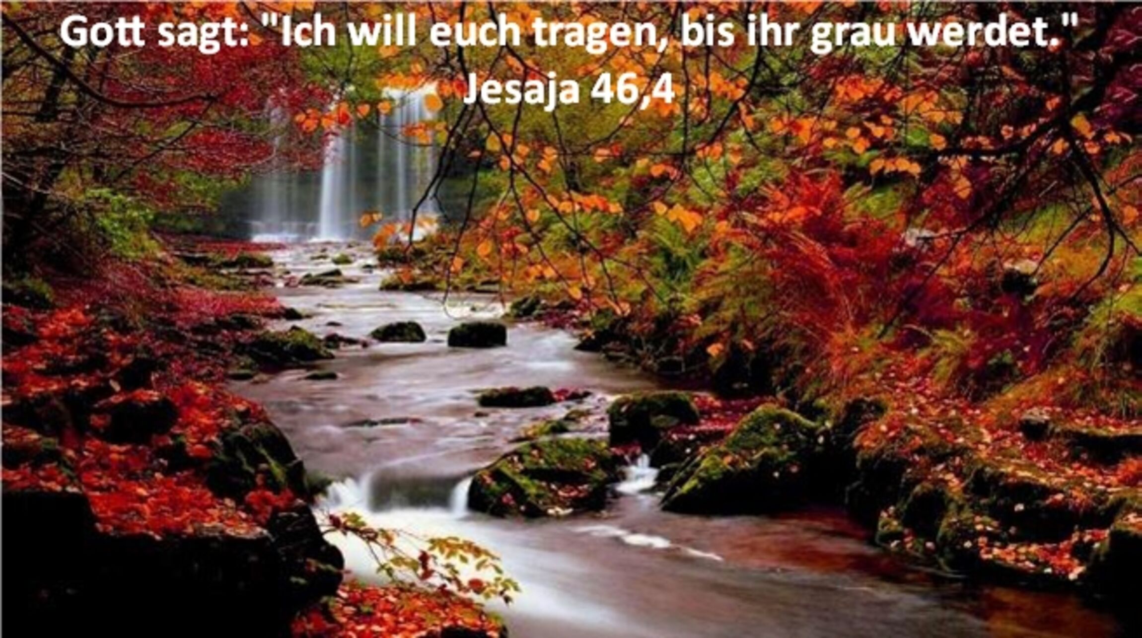 2019-04-08 Birkholz 05