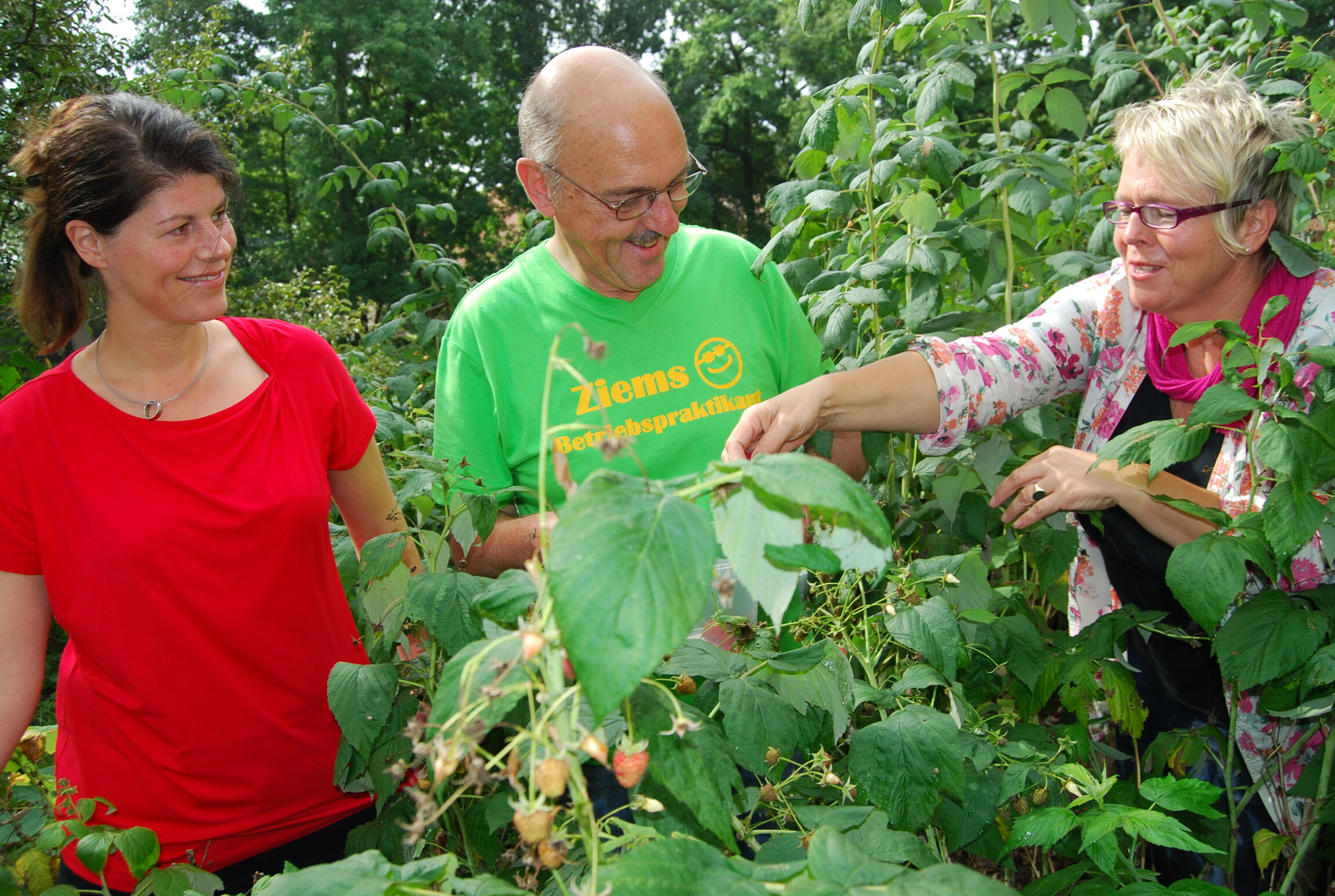 dhw-beeren-alle