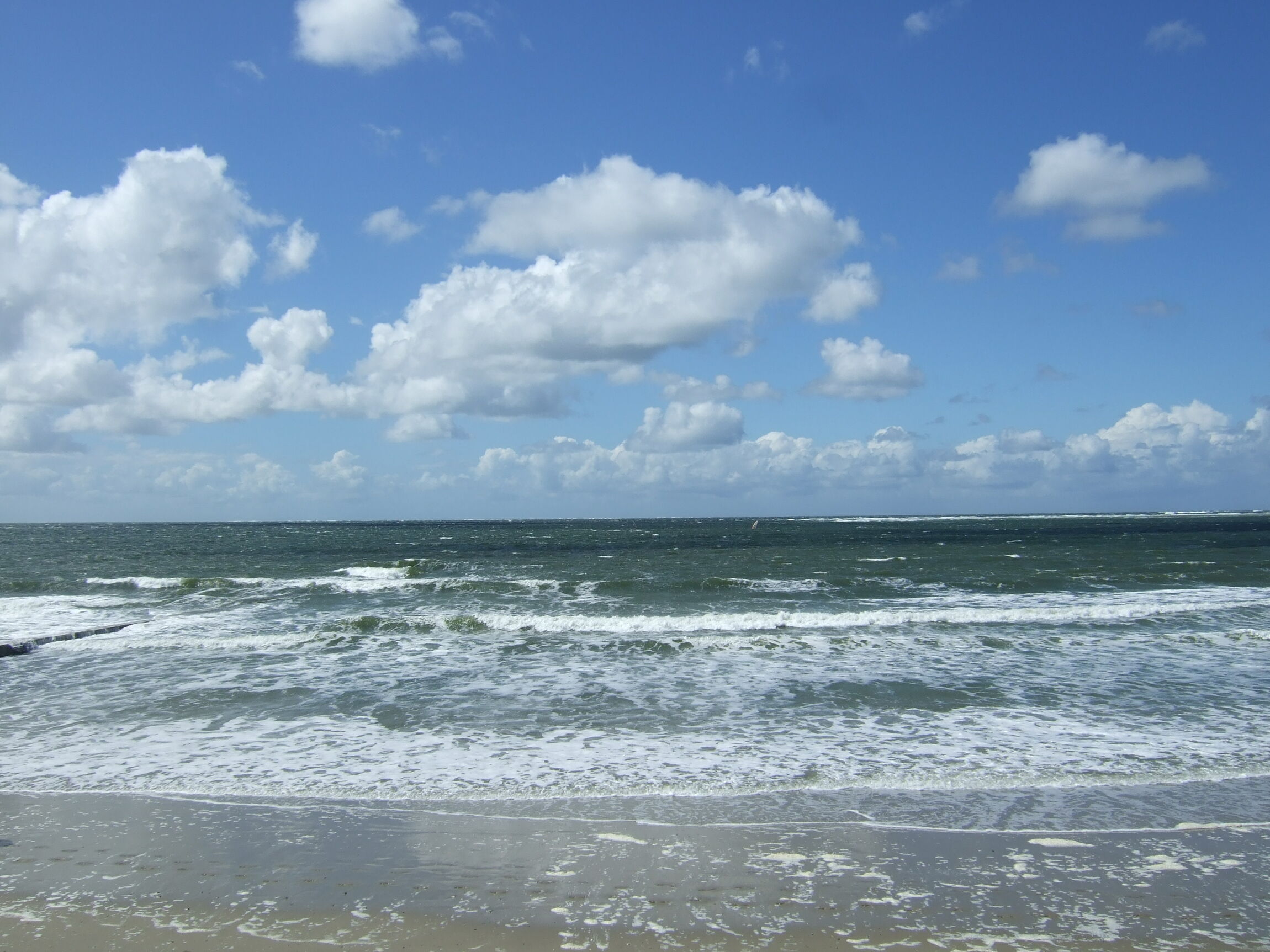 See vor Borkum