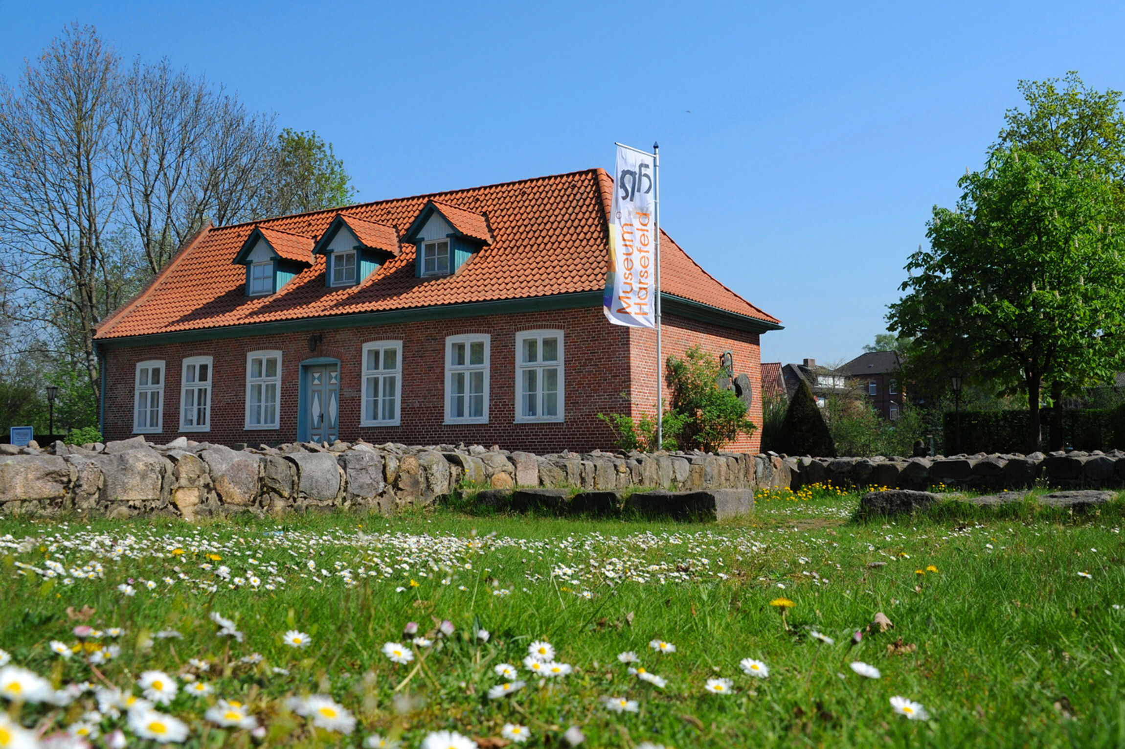 Museum Klostergarten Harsefeld mit GänseblümchenMartin Elsen