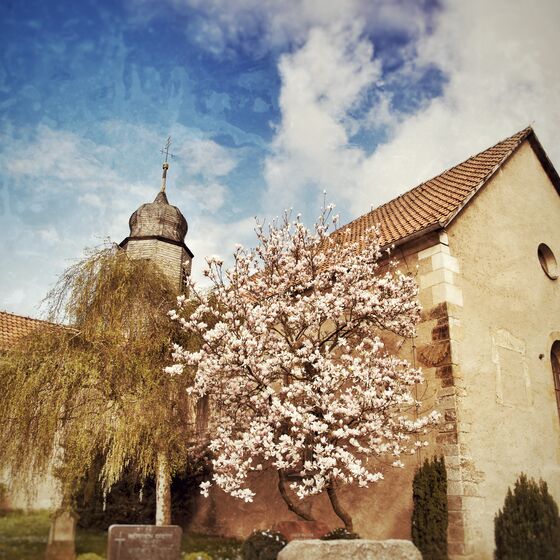 Unser St. Johannis Kirche ist bei Brautpaaren sehr beliebt