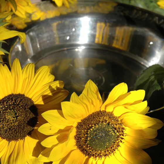 Taufbecken in der Bodenburger Kirche geschmückt mit Sonnenblumen