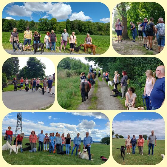 Collage 1 Spaziergang