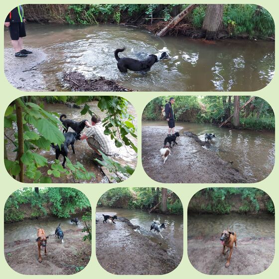 Collage 2 Spaziergang