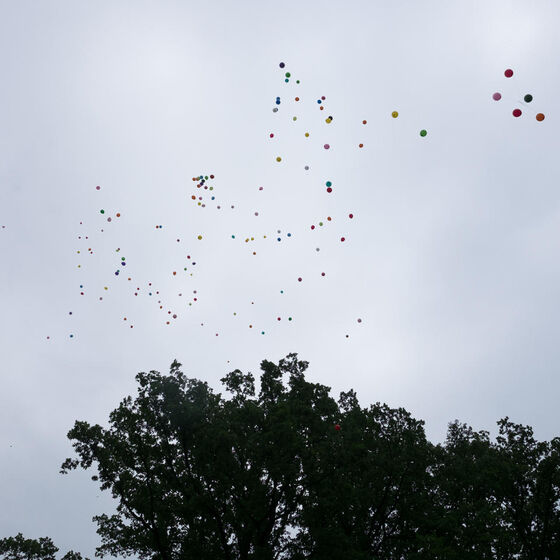 Sommerfest_in_Meinerdingen_BS20170625-7961