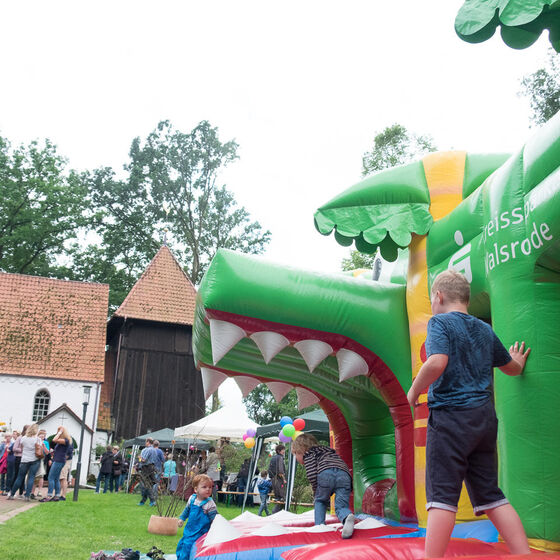 Sommerfest_in_Meinerdingen_BS20170625-8005