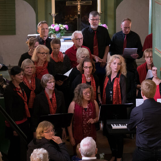 Sommerfest_in_Meinerdingen_BS20170625-8042