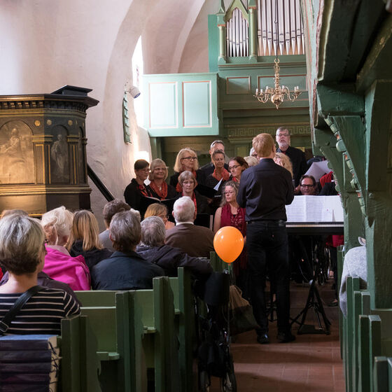 Sommerfest_in_Meinerdingen_BS20170625-8062