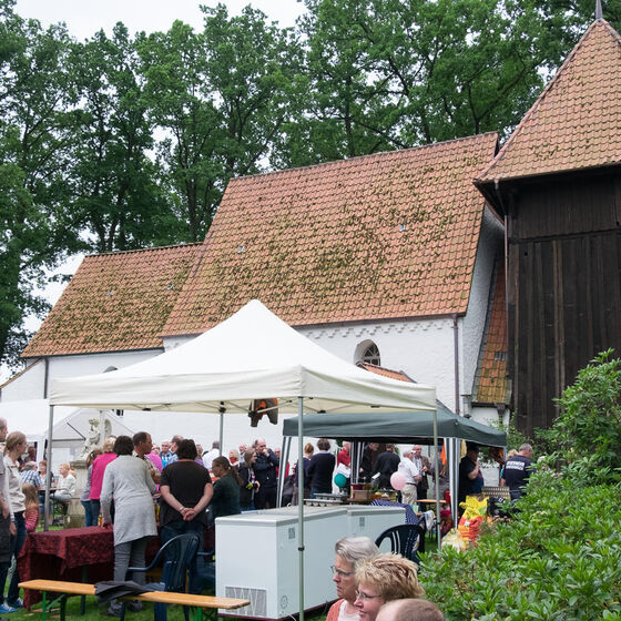 Sommerfest_in_Meinerdingen_BS20170625-8109