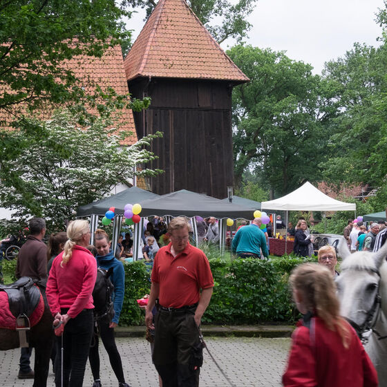 Sommerfest_in_Meinerdingen_BS20170625-8141