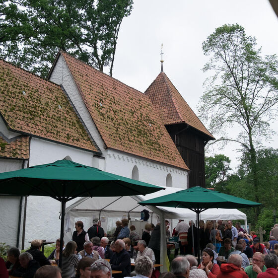 Sommerfest_in_Meinerdingen_BS20170625-8153