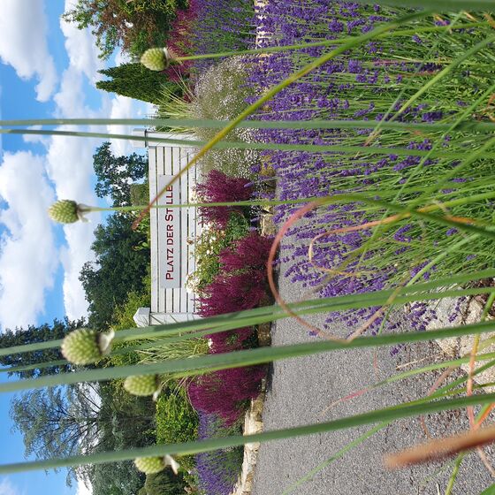 Platz der Stille (Beete)