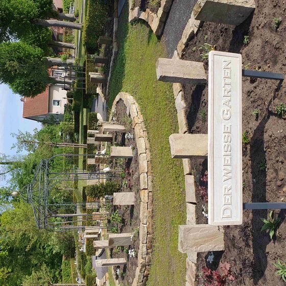 20260503_Weiße Garten