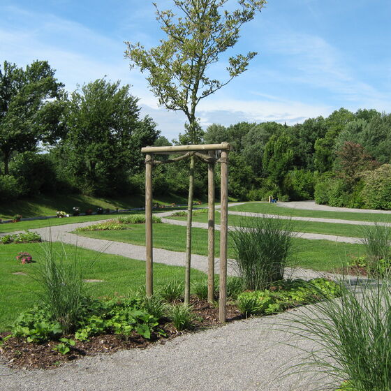 Friedhof Meinerdingen Friedpark A16