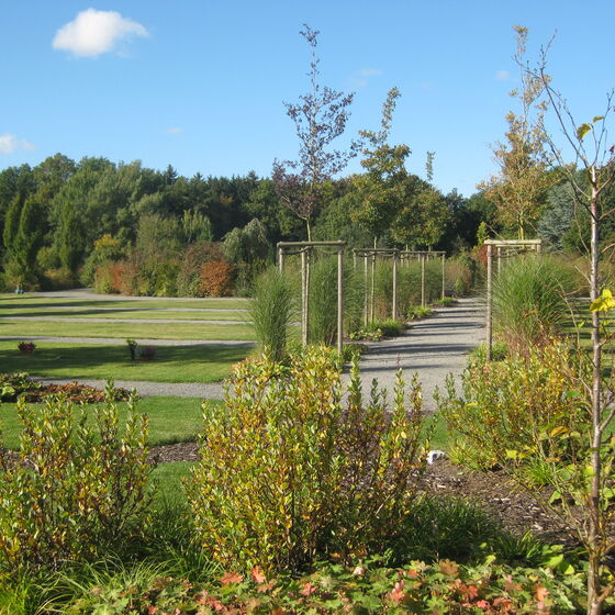 Friedhof Meinerdingen Friedpark A16