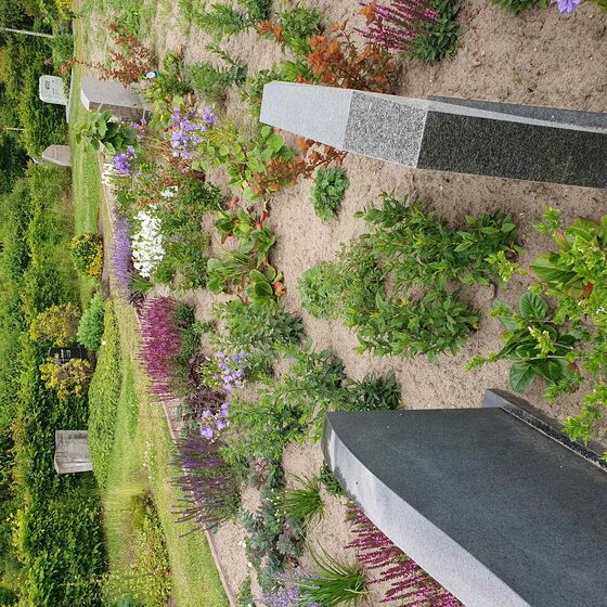 Garten der Stille 06-2025