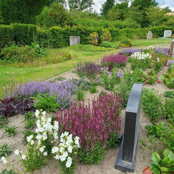 Garten der Stille 06-2025