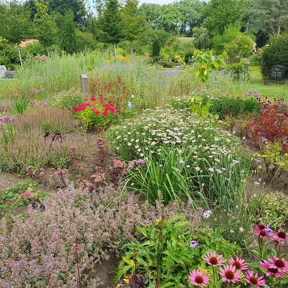 Garten der Stille 06-2025