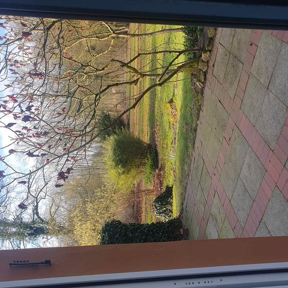 Terrassenblick