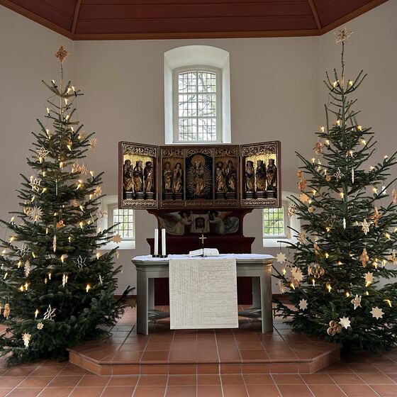 2024-12-24-weihnachtsbaeume-IMG_2424-kl