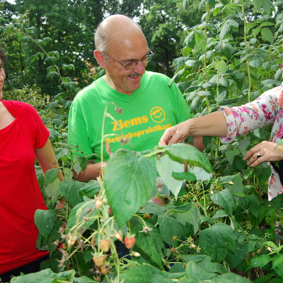 dhw-beeren-alle