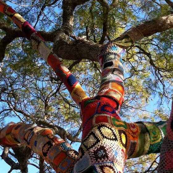 16_08_02_durban_urban_knitting