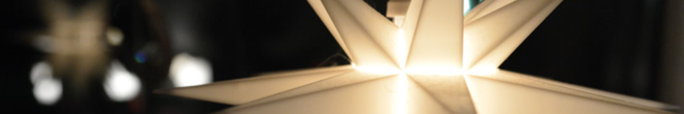 weihnachtsstern_lotz