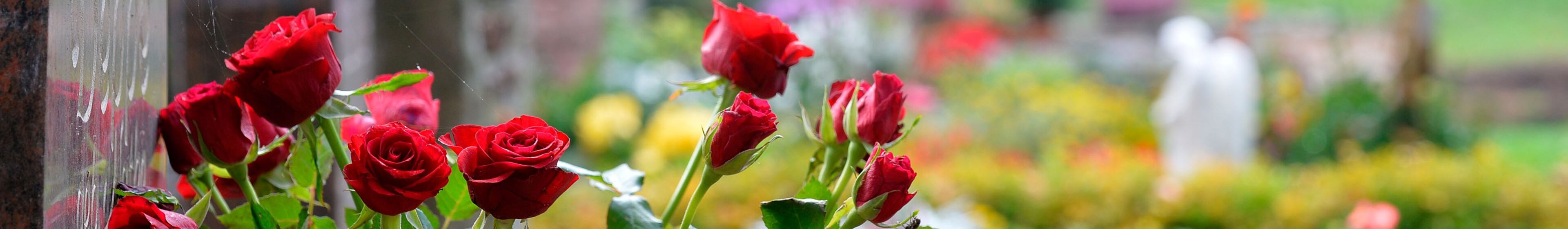 Header_Friedhof_Bild_1von1