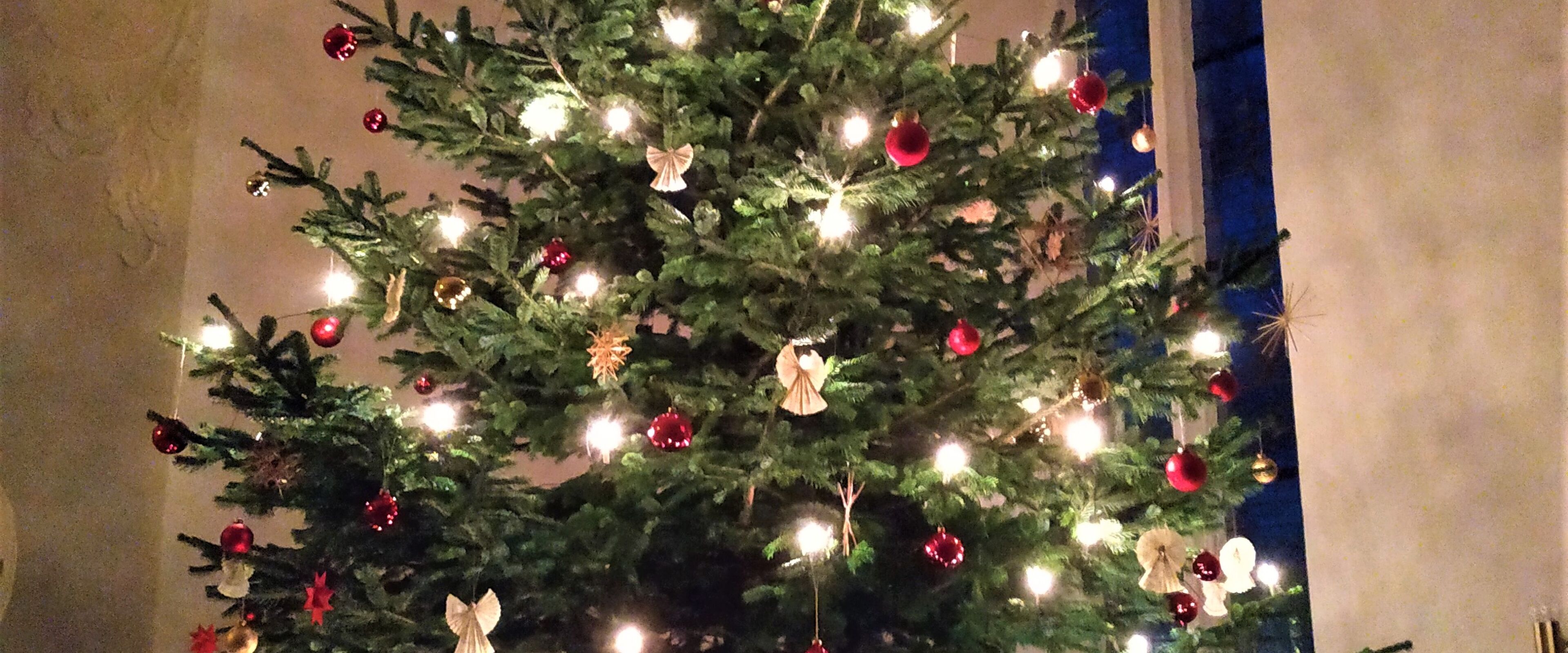 Weihnachtsbaum19