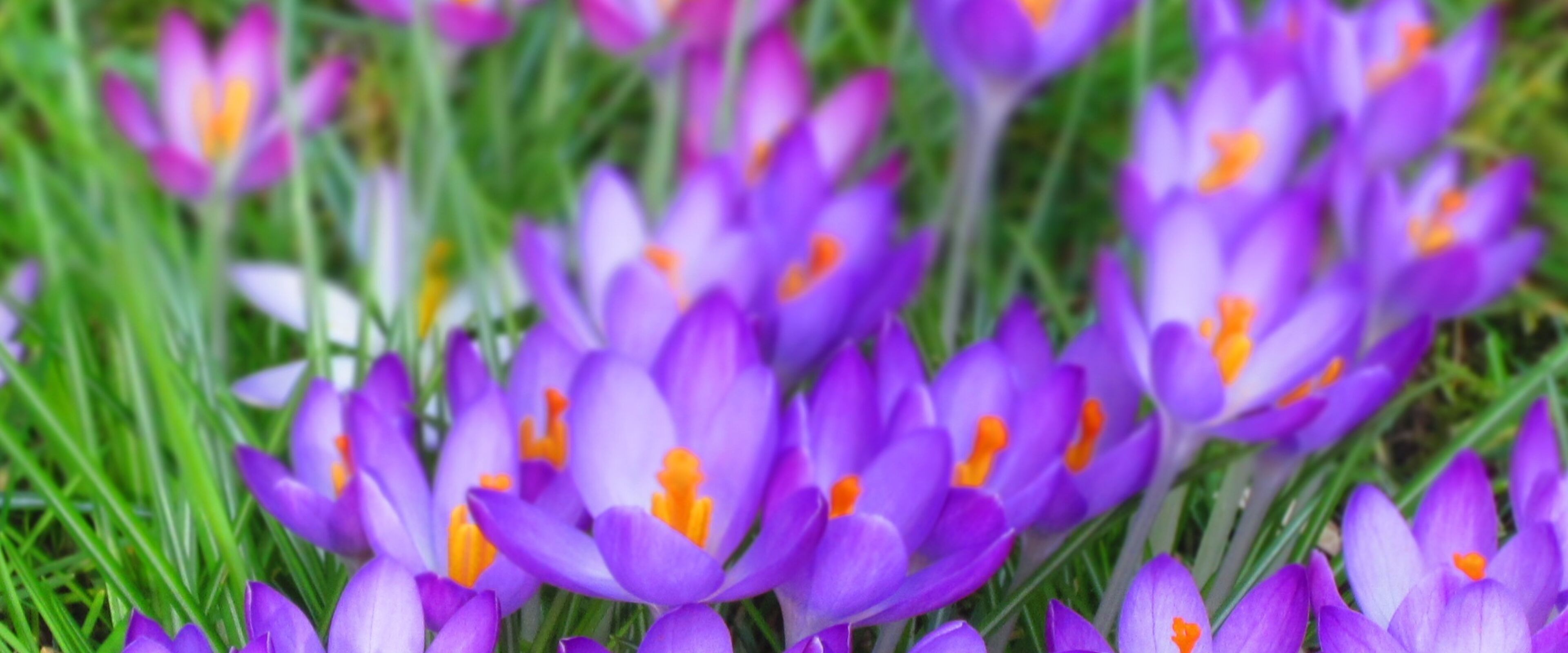 Titel GB April Mai 2014