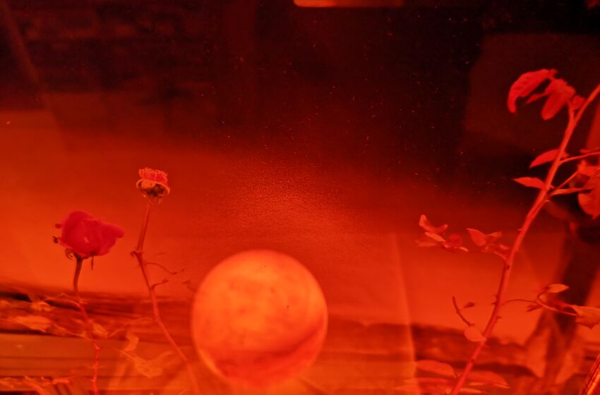 Foto-Ausstellung  Michael Korinth