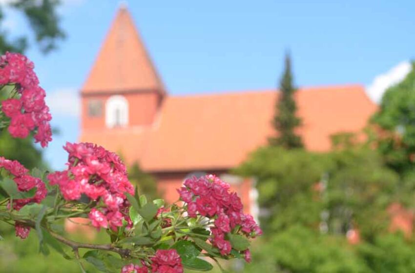 Teaser_KV_Kirche_mit_Blumen