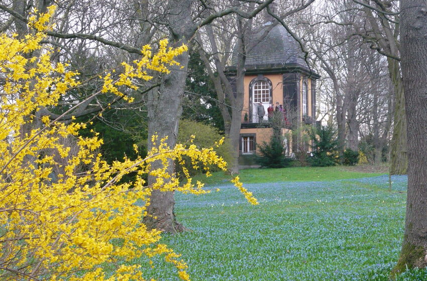 Scillablüte beim Küchengartenpavillon