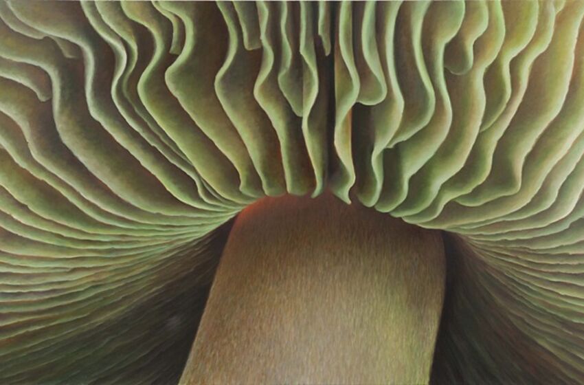 Hüllreste - Ausstellung Martina Schulze