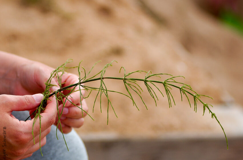 Ferienmachen muss man lernen 