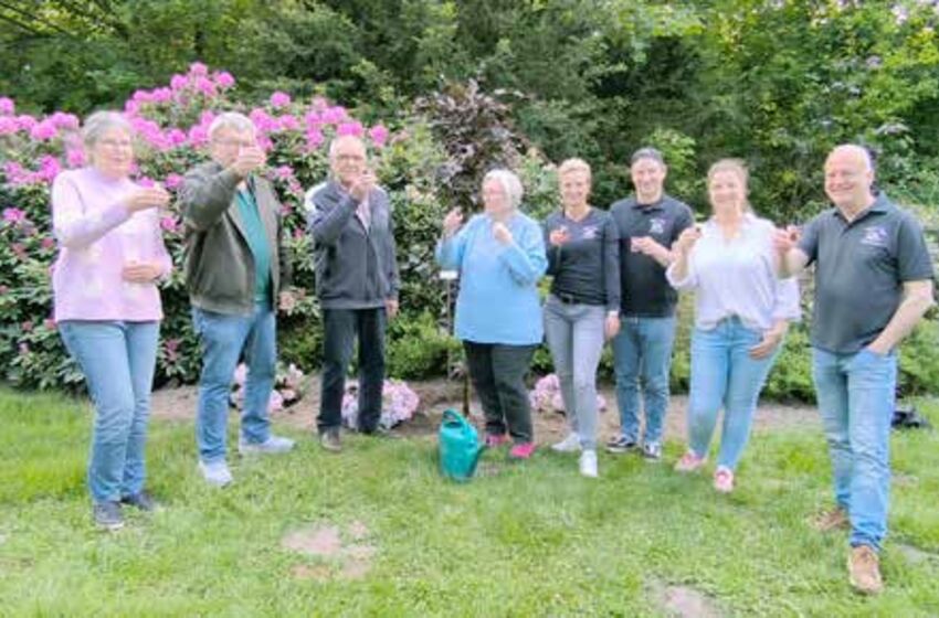 Stiftung Baum anstoßen