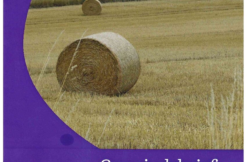 GB 3/2022-Titelseite