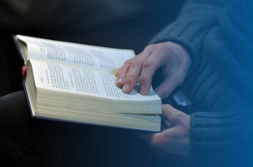 © Jens Schulze, EMSZ