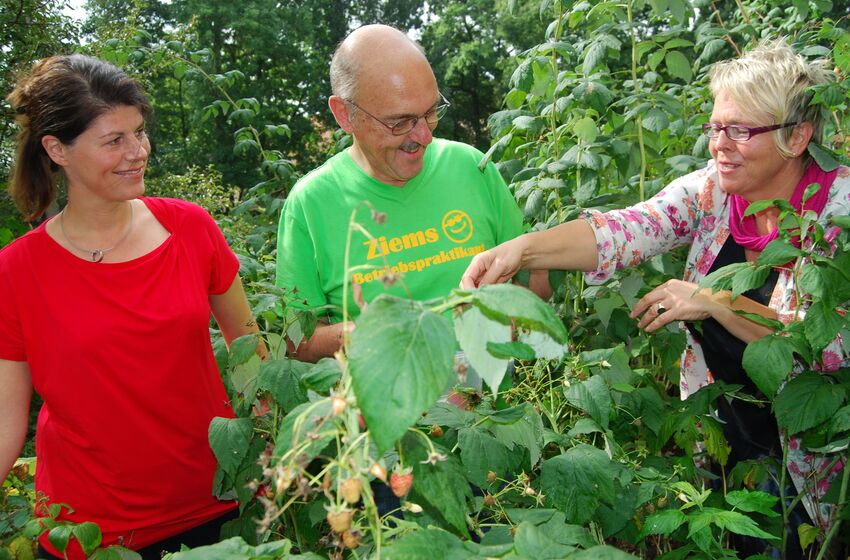 dhw-beeren-alle