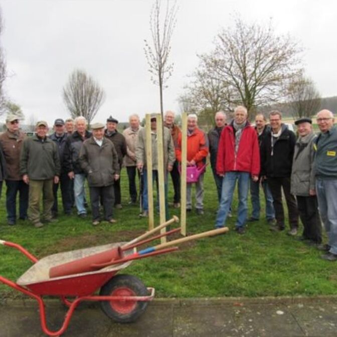 Der Männerkreis pflanzt eine Lutherlinde (2017) 